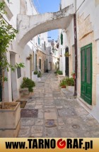 Fototapeta na wymiar - P.H.U. TARNOGRAF - Fabryka Reklamy Tarnobrzeg