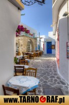 Fototapeta na wymiar - P.H.U. TARNOGRAF - Fabryka Reklamy Tarnobrzeg