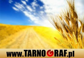 Fototapeta na wymiar - P.H.U. TARNOGRAF - Fabryka Reklamy Tarnobrzeg