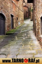 Fototapeta na wymiar - P.H.U. TARNOGRAF - Fabryka Reklamy Tarnobrzeg