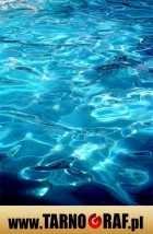 Fototapeta na wymiar - P.H.U. TARNOGRAF - Fabryka Reklamy Tarnobrzeg