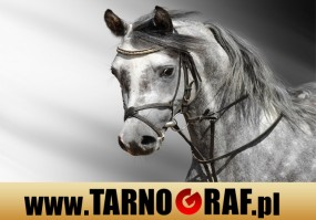 Fototapeta na wymiar - P.H.U. TARNOGRAF - Fabryka Reklamy Tarnobrzeg