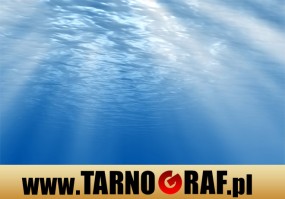 Fototapeta na wymiar - P.H.U. TARNOGRAF - Fabryka Reklamy Tarnobrzeg