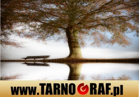 Fototapeta na wymiar - P.H.U. TARNOGRAF - Fabryka Reklamy Tarnobrzeg