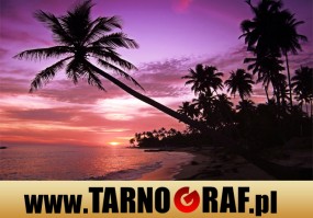 Fototapeta na wymiar - P.H.U. TARNOGRAF - Fabryka Reklamy Tarnobrzeg