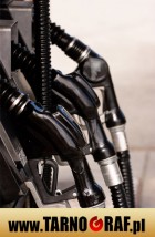 Fototapeta na wymiar - P.H.U. TARNOGRAF - Fabryka Reklamy Tarnobrzeg