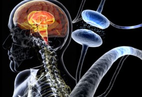 Leczenie choroby Parkinsona- badania. - Specjalista Neurolog Katarzyna Kaczmarek Koszalin