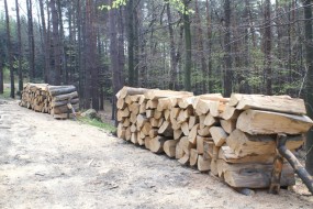 Drewno Brzoza Wałki GRUBE 1,2 m w-arszawa - Gobi Drewno Opałowe i Kominkowe Wiązowna