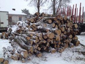 Drewno Brzoza Wałki 1,2 m w-arszawa - Gobi Drewno Opałowe i Kominkowe Wiązowna