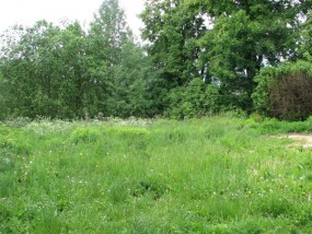 Urocza działka - 100 m do jeziora Gielądzkiego - Oktawia Zubelewicz Olsztyn