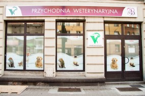 szczepienia psów i kotów - Przychodnia Weterynaryjna Marwet Pawelec Maria Katowice