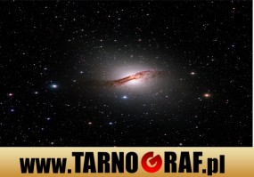 Fototapeta na wymiar - P.H.U. TARNOGRAF - Fabryka Reklamy Tarnobrzeg