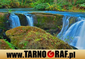 Fototapeta na wymiar - P.H.U. TARNOGRAF - Fabryka Reklamy Tarnobrzeg