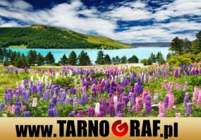 Fototapeta na wymiar - P.H.U. TARNOGRAF - Fabryka Reklamy Tarnobrzeg