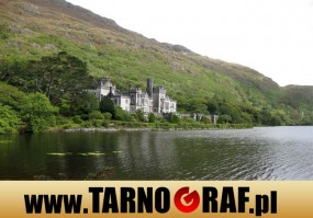 Fototapeta na wymiar - P.H.U. TARNOGRAF - Fabryka Reklamy Tarnobrzeg