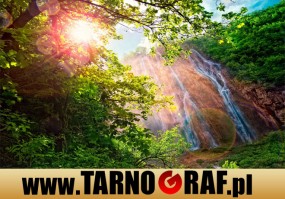 Fototapeta na wymiar - P.H.U. TARNOGRAF - Fabryka Reklamy Tarnobrzeg