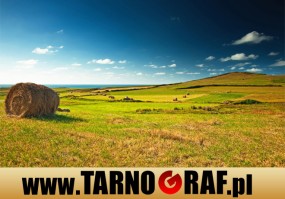 Fototapeta na wymiar - P.H.U. TARNOGRAF - Fabryka Reklamy Tarnobrzeg