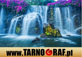 Fototapeta na wymiar - P.H.U. TARNOGRAF - Fabryka Reklamy Tarnobrzeg