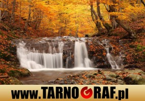 Fototapeta na wymiar - P.H.U. TARNOGRAF - Fabryka Reklamy Tarnobrzeg