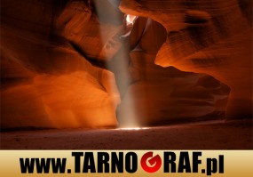 Fototapeta na wymiar - P.H.U. TARNOGRAF - Fabryka Reklamy Tarnobrzeg