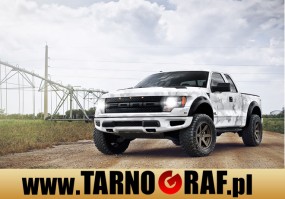 Fototapeta na wymiar - P.H.U. TARNOGRAF - Fabryka Reklamy Tarnobrzeg