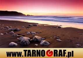 Fototapeta na wymiar - P.H.U. TARNOGRAF - Fabryka Reklamy Tarnobrzeg