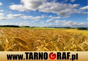 Fototapeta na wymiar - P.H.U. TARNOGRAF - Fabryka Reklamy Tarnobrzeg