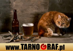 Fototapeta na wymiar - P.H.U. TARNOGRAF - Fabryka Reklamy Tarnobrzeg