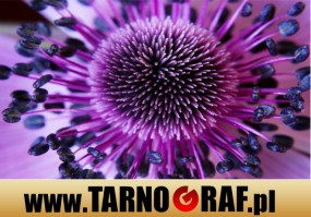 Fototapeta na wymiar - P.H.U. TARNOGRAF - Fabryka Reklamy Tarnobrzeg