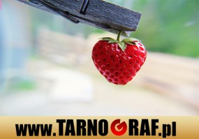 Fototapeta na wymiar - P.H.U. TARNOGRAF - Fabryka Reklamy Tarnobrzeg