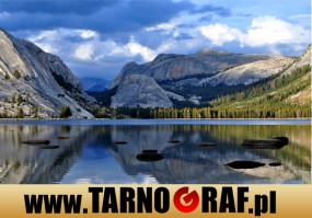 Fototapeta na wymiar - P.H.U. TARNOGRAF - Fabryka Reklamy Tarnobrzeg