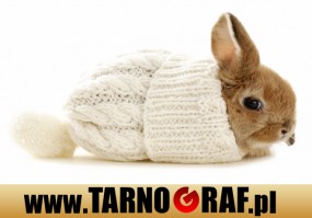 Fototapeta na wymiar - P.H.U. TARNOGRAF - Fabryka Reklamy Tarnobrzeg