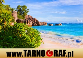 Fototapeta na wymiar - P.H.U. TARNOGRAF - Fabryka Reklamy Tarnobrzeg