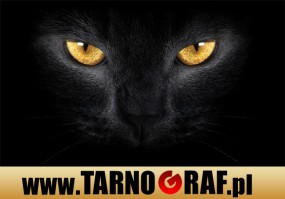 Fototapeta na wymiar - P.H.U. TARNOGRAF - Fabryka Reklamy Tarnobrzeg