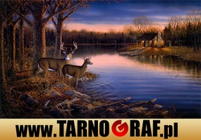 Fototapeta na wymiar - P.H.U. TARNOGRAF - Fabryka Reklamy Tarnobrzeg