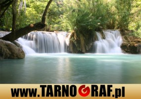 Fototapeta na wymiar - P.H.U. TARNOGRAF - Fabryka Reklamy Tarnobrzeg