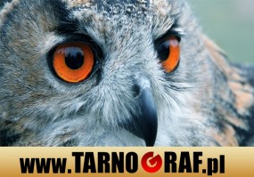 Fototapeta na wymiar - P.H.U. TARNOGRAF - Fabryka Reklamy Tarnobrzeg