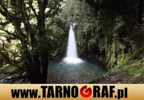 Fototapeta na wymiar - P.H.U. TARNOGRAF - Fabryka Reklamy Tarnobrzeg