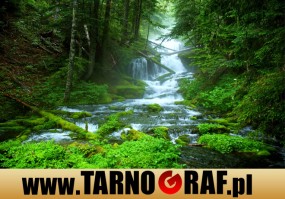 Fototapeta na wymiar - P.H.U. TARNOGRAF - Fabryka Reklamy Tarnobrzeg