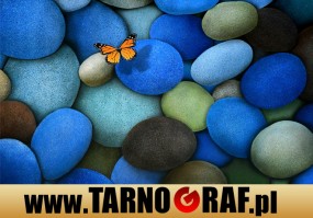 Fototapeta na wymiar - P.H.U. TARNOGRAF - Fabryka Reklamy Tarnobrzeg