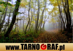 Fototapeta na wymiar - P.H.U. TARNOGRAF - Fabryka Reklamy Tarnobrzeg