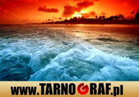 Fototapeta na wymiar - P.H.U. TARNOGRAF - Fabryka Reklamy Tarnobrzeg