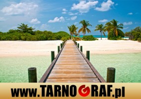 Fototapeta na wymiar - P.H.U. TARNOGRAF - Fabryka Reklamy Tarnobrzeg