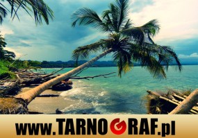 Fototapeta na wymiar - P.H.U. TARNOGRAF - Fabryka Reklamy Tarnobrzeg