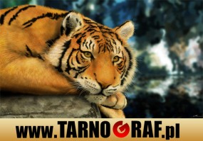 Fototapeta na wymiar - P.H.U. TARNOGRAF - Fabryka Reklamy Tarnobrzeg