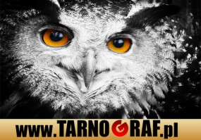 Fototapeta na wymiar - P.H.U. TARNOGRAF - Fabryka Reklamy Tarnobrzeg