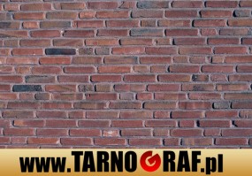 Fototapeta na wymiar - P.H.U. TARNOGRAF - Fabryka Reklamy Tarnobrzeg