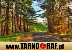 Fototapeta na wymiar - P.H.U. TARNOGRAF - Fabryka Reklamy Tarnobrzeg