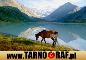 Fototapeta na wymiar - P.H.U. TARNOGRAF - Fabryka Reklamy Tarnobrzeg