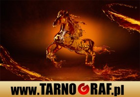 Fototapeta na wymiar - P.H.U. TARNOGRAF - Fabryka Reklamy Tarnobrzeg